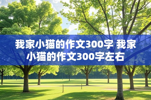 我家小猫的作文300字 我家小猫的作文300字左右