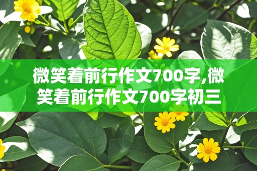 微笑着前行作文700字,微笑着前行作文700字初三