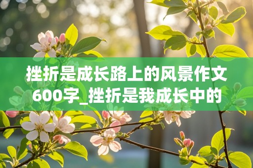 挫折是成长路上的风景作文600字_挫折是我成长中的桥