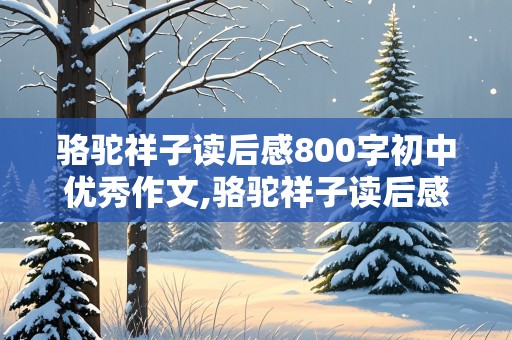 骆驼祥子读后感800字初中优秀作文,骆驼祥子读后感800字初中优秀作文寒假里