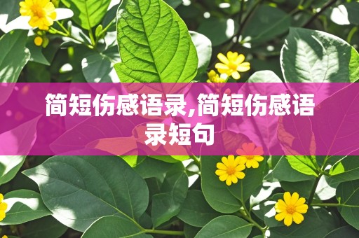 简短伤感语录,简短伤感语录短句