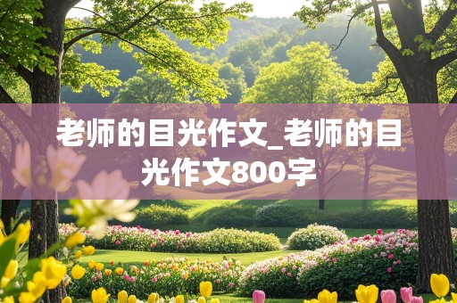 老师的目光作文_老师的目光作文800字