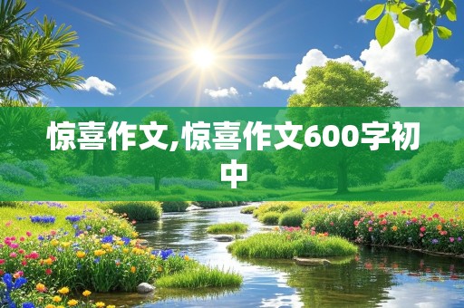 惊喜作文,惊喜作文600字初中