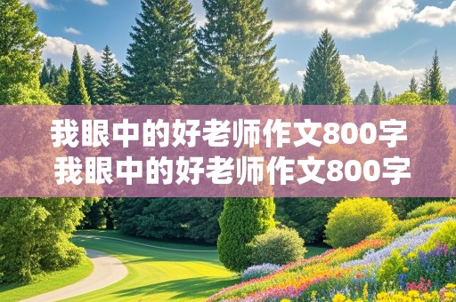 我眼中的好老师作文800字 我眼中的好老师作文800字高中