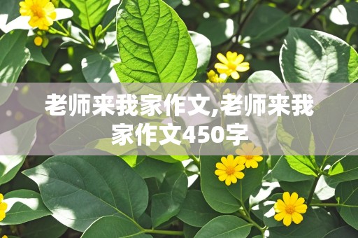 老师来我家作文,老师来我家作文450字