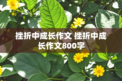 挫折中成长作文 挫折中成长作文800字