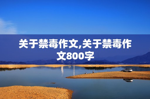 关于禁毒作文,关于禁毒作文800字