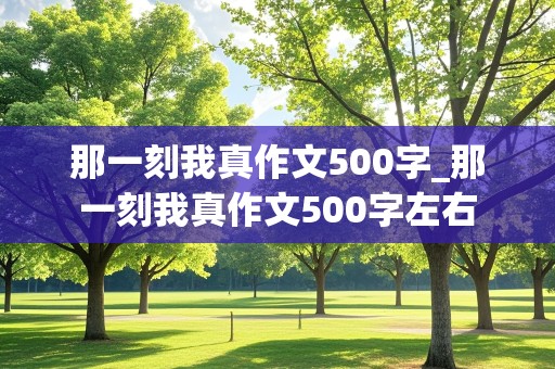 那一刻我真作文500字_那一刻我真作文500字左右