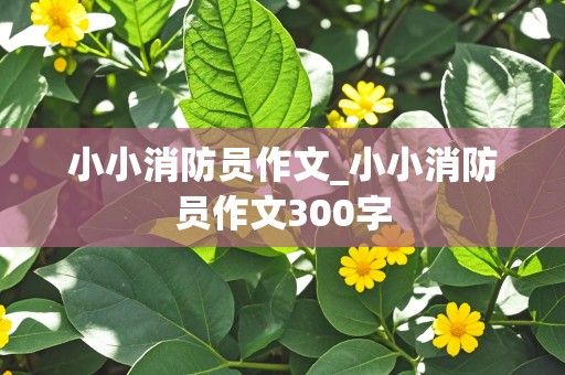 小小消防员作文_小小消防员作文300字