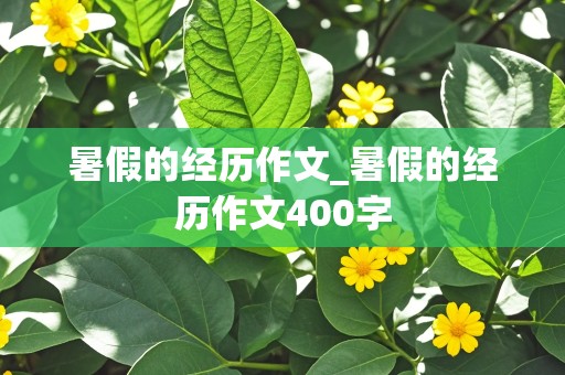 暑假的经历作文_暑假的经历作文400字