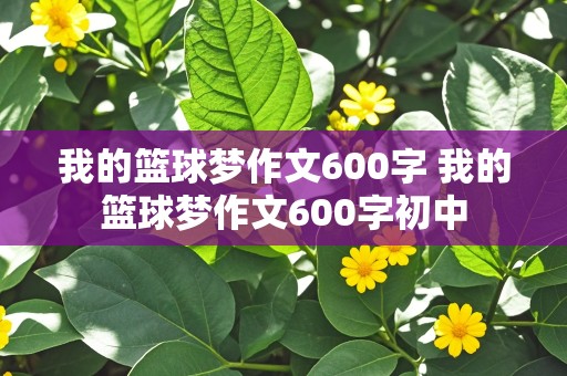 我的篮球梦作文600字 我的篮球梦作文600字初中