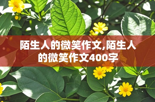 陌生人的微笑作文,陌生人的微笑作文400字