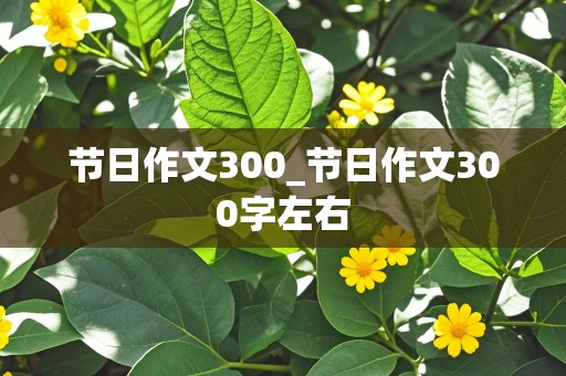 节日作文300_节日作文300字左右