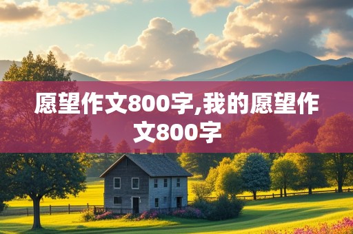 愿望作文800字,我的愿望作文800字