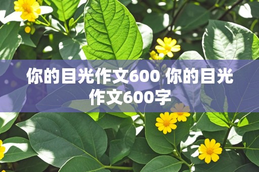 你的目光作文600 你的目光作文600字