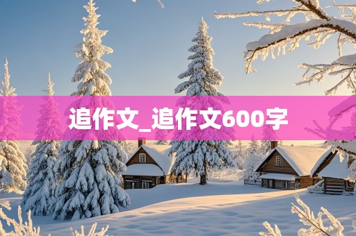 追作文_追作文600字