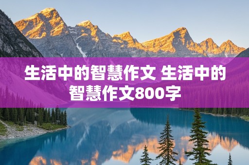 生活中的智慧作文 生活中的智慧作文800字