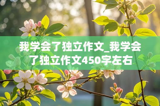 我学会了独立作文_我学会了独立作文450字左右