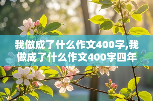 我做成了什么作文400字,我做成了什么作文400字四年级