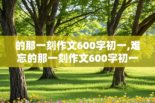 的那一刻作文600字初一,难忘的那一刻作文600字初一