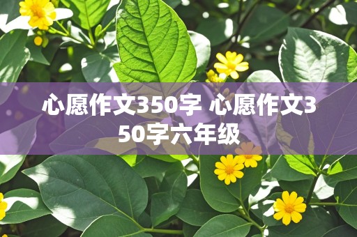 心愿作文350字 心愿作文350字六年级