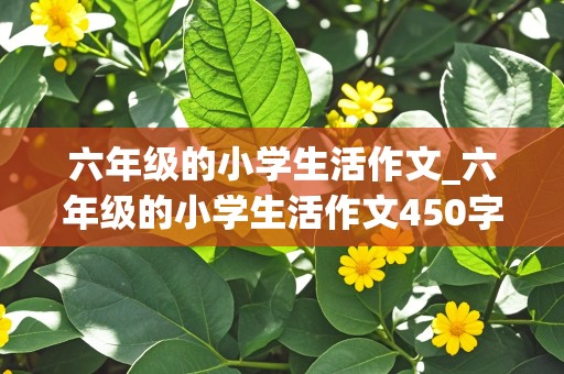 六年级的小学生活作文_六年级的小学生活作文450字