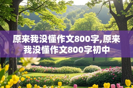 原来我没懂作文800字,原来我没懂作文800字初中