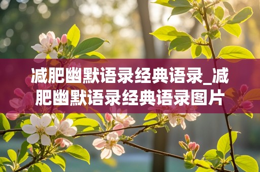 减肥幽默语录经典语录_减肥幽默语录经典语录图片