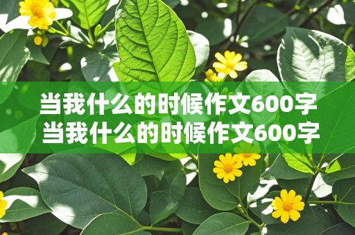 当我什么的时候作文600字 当我什么的时候作文600字作文