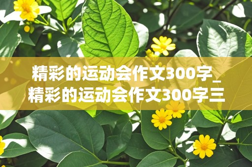 精彩的运动会作文300字_精彩的运动会作文300字三年级