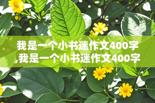 我是一个小书迷作文400字,我是一个小书迷作文400字左右