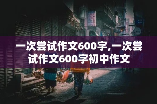 一次尝试作文600字,一次尝试作文600字初中作文