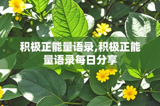 积极正能量语录,积极正能量语录每日分享