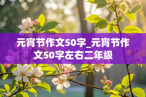 元宵节作文50字_元宵节作文50字左右二年级