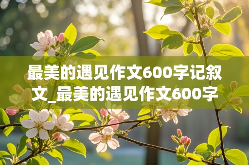 最美的遇见作文600字记叙文_最美的遇见作文600字记叙文初一