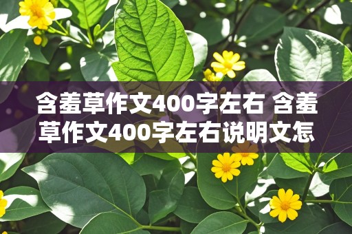 含羞草作文400字左右 含羞草作文400字左右说明文怎么写