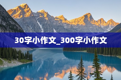 30字小作文_300字小作文