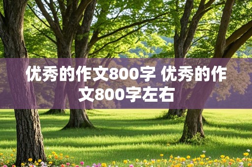 优秀的作文800字 优秀的作文800字左右