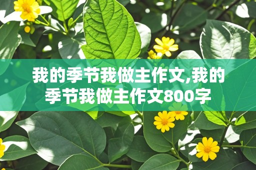 我的季节我做主作文,我的季节我做主作文800字