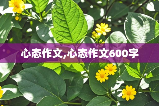 心态作文,心态作文600字