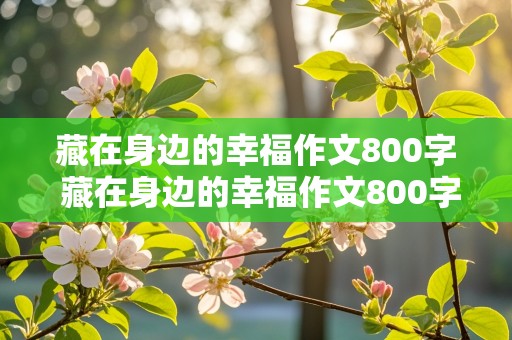 藏在身边的幸福作文800字 藏在身边的幸福作文800字初中作文