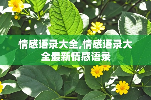 情感语录大全,情感语录大全最新情感语录