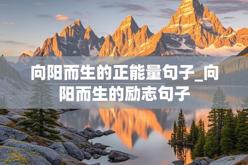 向阳而生的正能量句子_向阳而生的励志句子