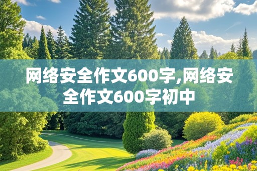 网络安全作文600字,网络安全作文600字初中