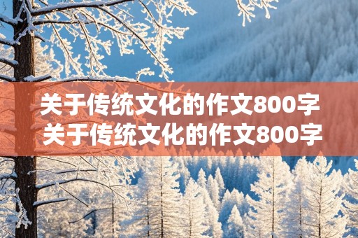 关于传统文化的作文800字 关于传统文化的作文800字高中议论文