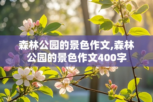 森林公园的景色作文,森林公园的景色作文400字