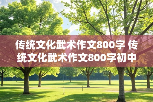 传统文化武术作文800字 传统文化武术作文800字初中记叙文