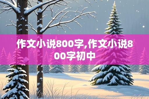 作文小说800字,作文小说800字初中