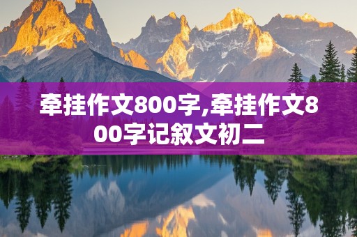 牵挂作文800字,牵挂作文800字记叙文初二