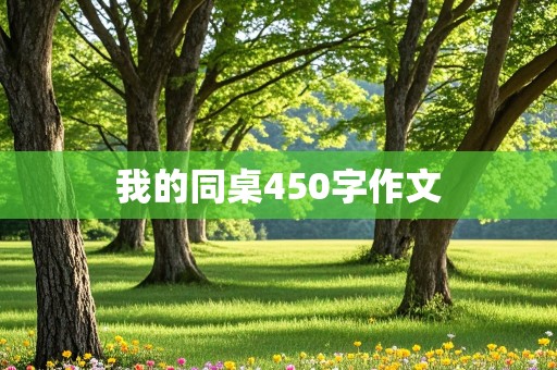 我的同桌450字作文